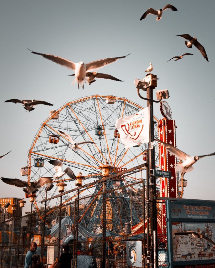 Des mouettes passent devant le parc d'attractions de Coney Island
