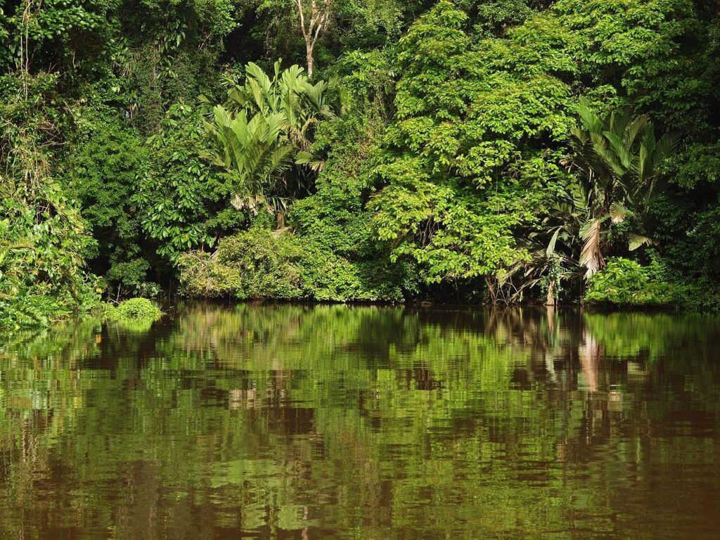 Une étendue d'eau entourée de végétation au Costa Rica