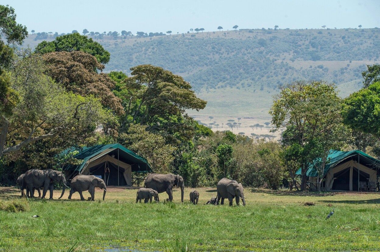 Les 5 meilleurs pays pour un voyage en Safari