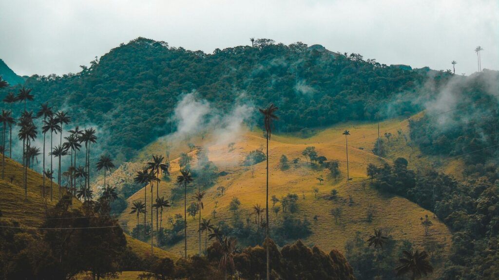 Parc naturel de Tayrona