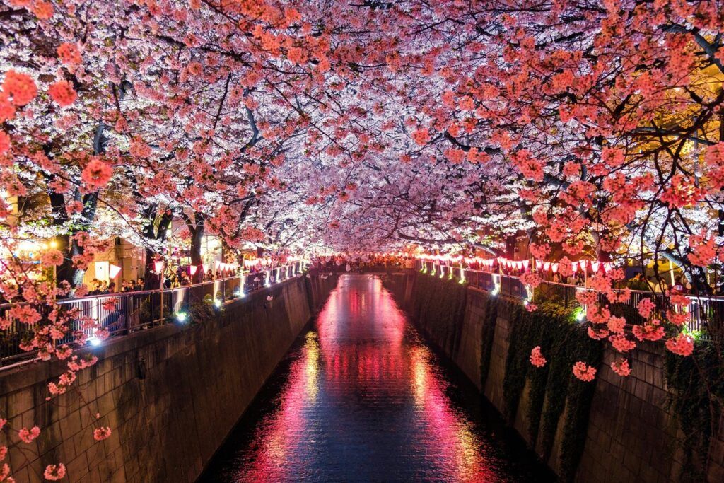 Canal floral de Tokyo