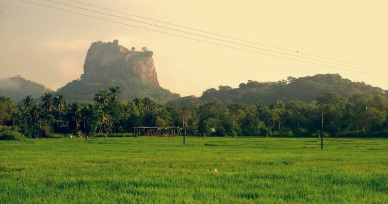 Quand partir au Sri Lanka ?