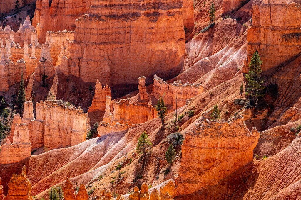 Formations rocheuses uniques et cheminées de fée orangées dans le parc national de Bryce Canyon aux États-Unis