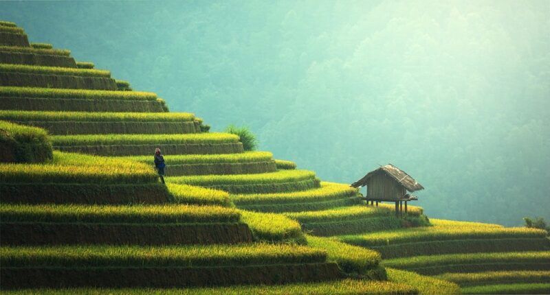 Quelle est la meilleure période pour visiter Bali?