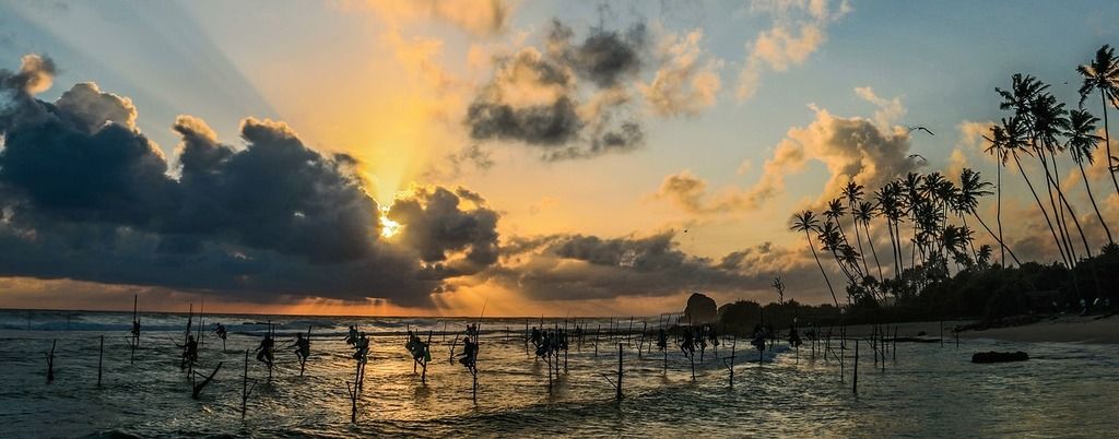 Coucher de soleil sur la plage de Mirissa au Sri Lanka, avec des pêcheurs sur échasses dans l’eau et des palmiers en arrière-plan.