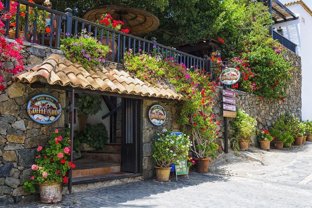 Café pittoresque entouré de fleurs colorées à Fuerteventura