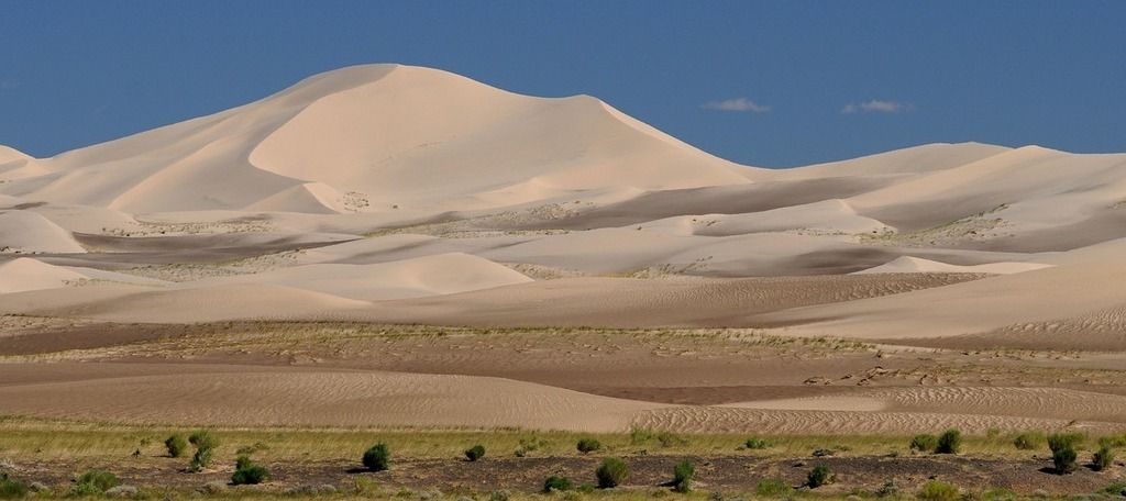 Paysage de dunes de sable clair s'étendant à perte de vue sous un ciel bleu éclatant.