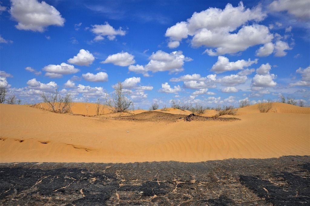 Étendue de sable doré parsemée de buissons sous un ciel bleu avec de nombreux nuages blancs.