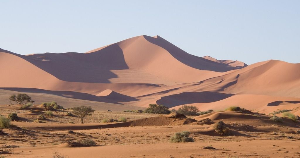 Paysage de dunes rougeâtres avec quelques arbustes éparpillés sous un soleil éclatant.