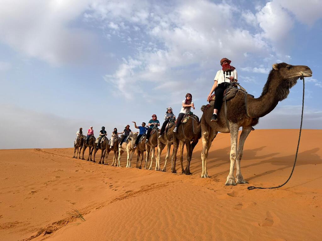 Un groupe de voyageurs traverse les dunes du désert à dos de chameau sous un ciel dégagé.