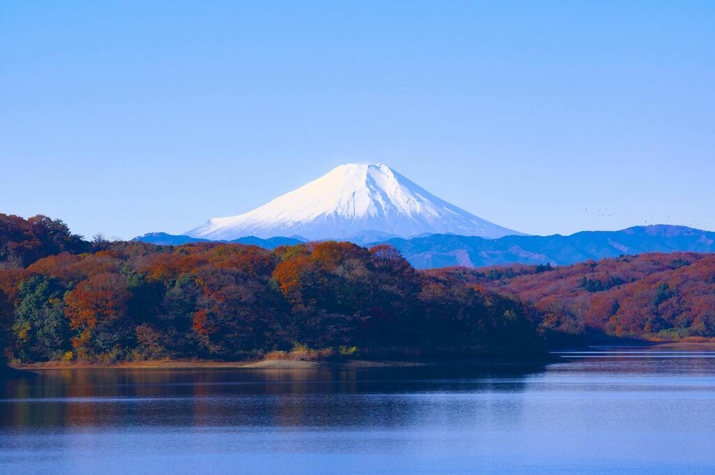 Quand Partir au Japon : Les meilleures saisons pour explorer le pays du soleil levant