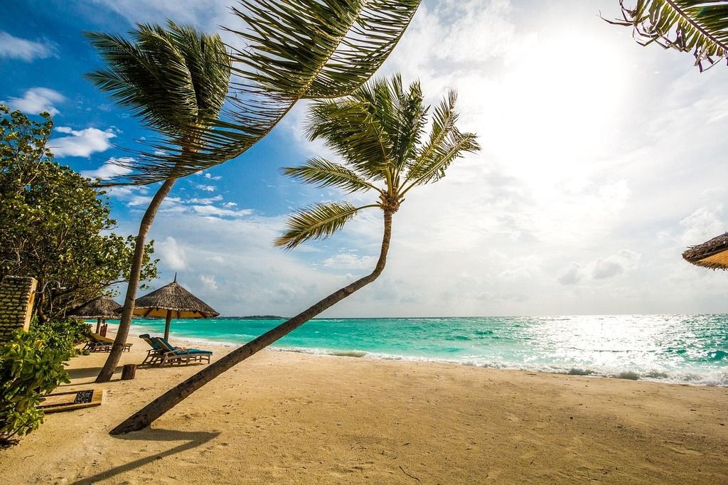 Plage paradisiaque avec des palmiers inclinés et une mer turquoise aux Maldives.