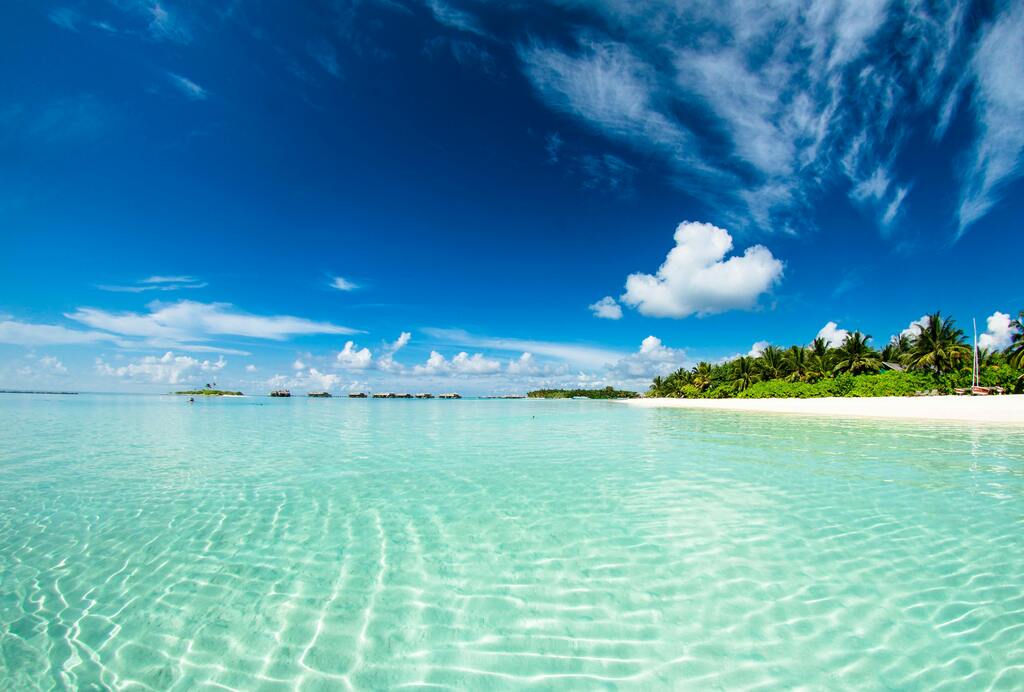 Eau cristalline et plage de sable blanc sous un ciel bleu aux Maldives.