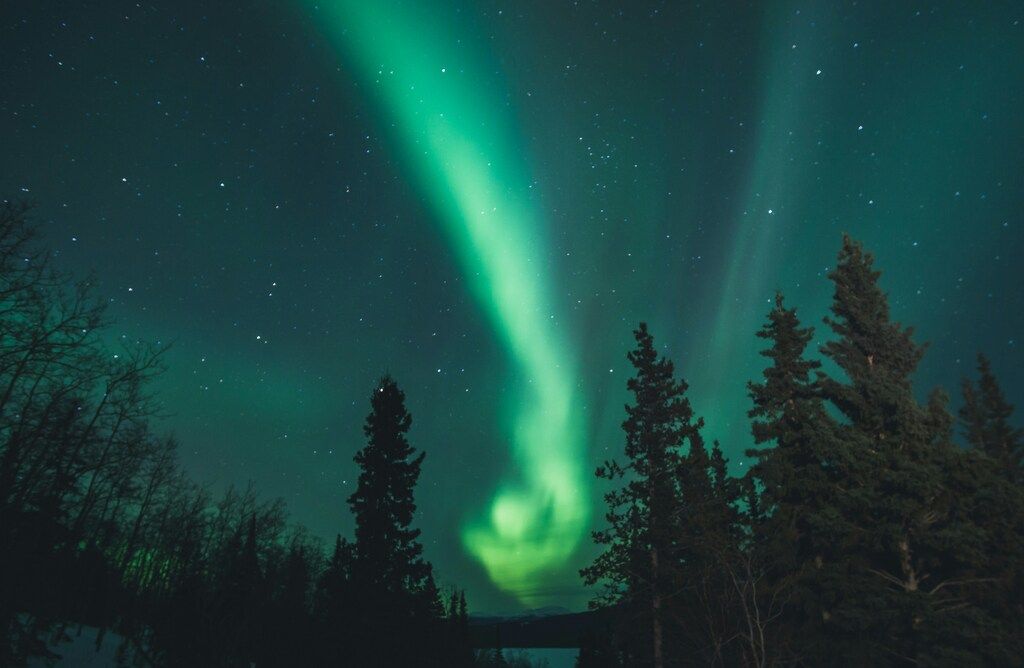 Aurore boréale dans le ciel étoilé au-dessus d’une forêt canadienne enneigée.