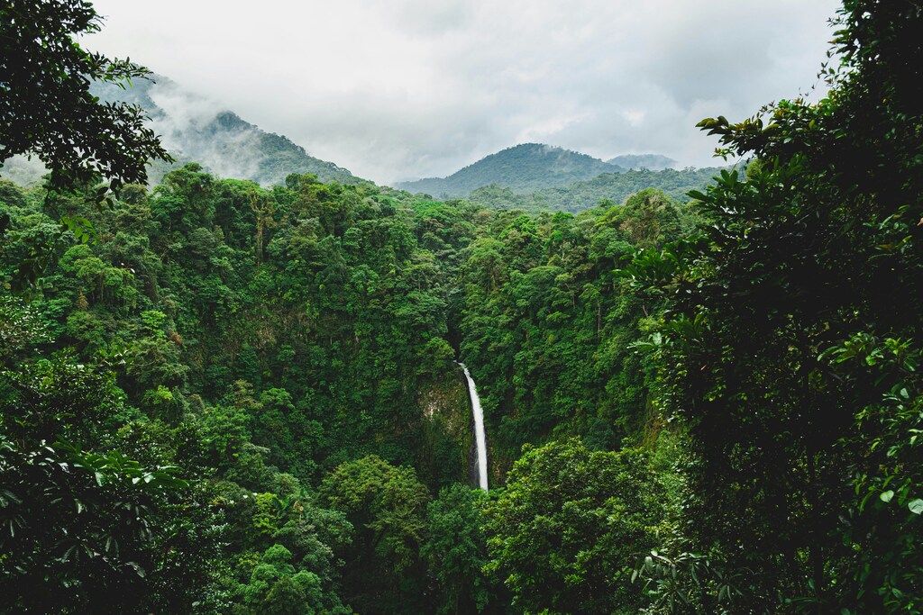Costa Rica : Quand Partir pour Profiter au Maximum de Votre Voyage