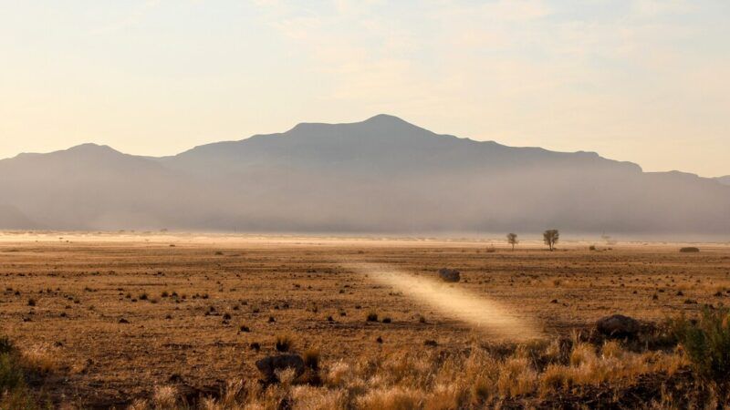 quand partir en Namibie