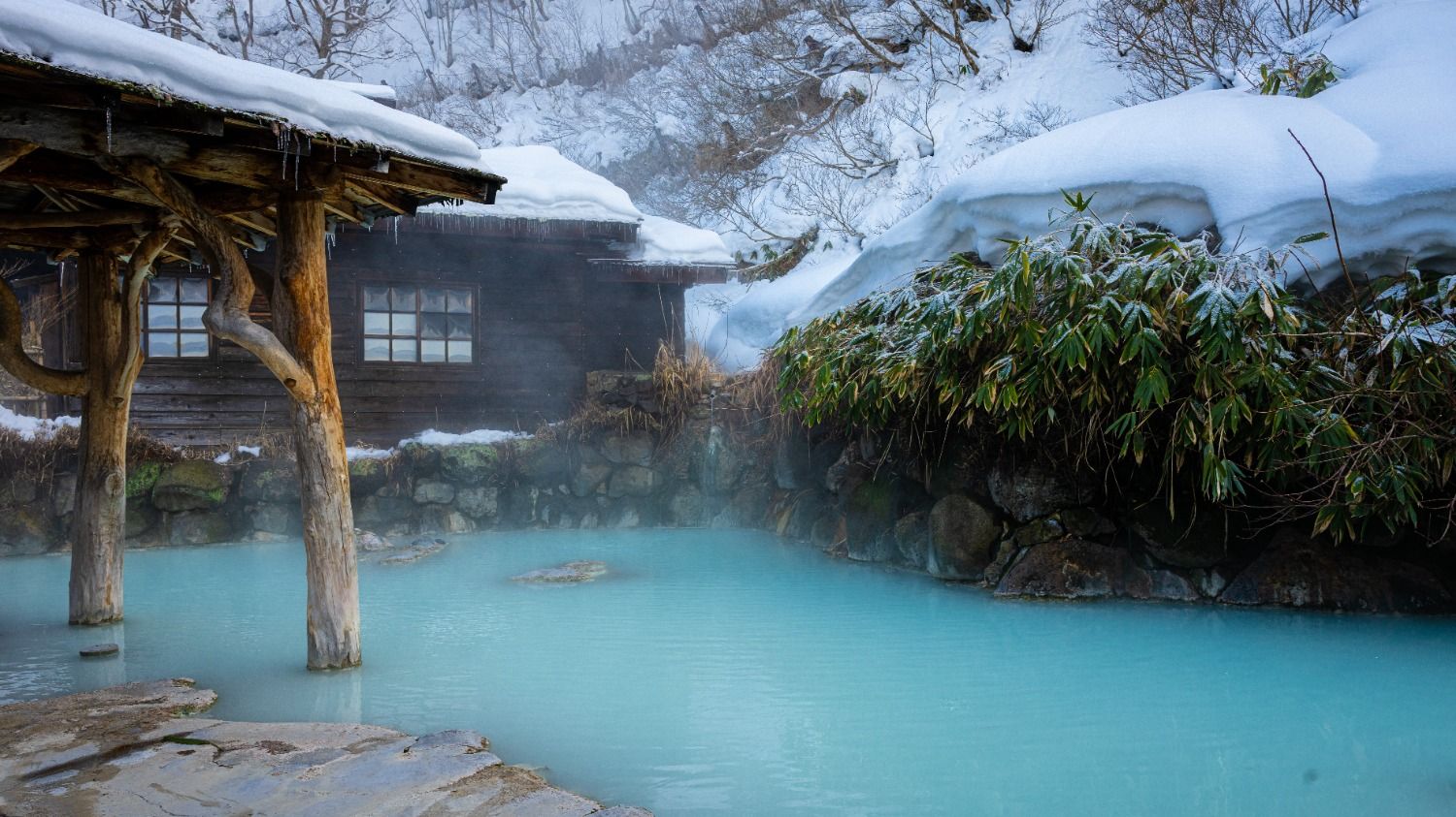 Onsen au Japon : l’expérience des bains chauds traditionnels