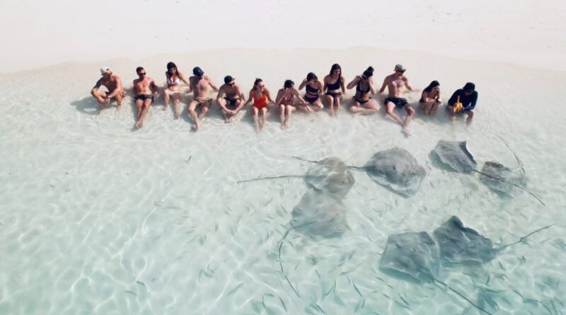 Un groupe de voyageurs assis au bord d'une plage de sable blanc, observant plusieurs raies et des bancs de petits poissons nager dans l'eau cristalline à leurs pieds. Un groupe de voyageurs assis au bord d'une plage de sable blanc, observant plusieurs raies et des bancs de petits poissons nager dans l'eau cristalline à leurs pieds.