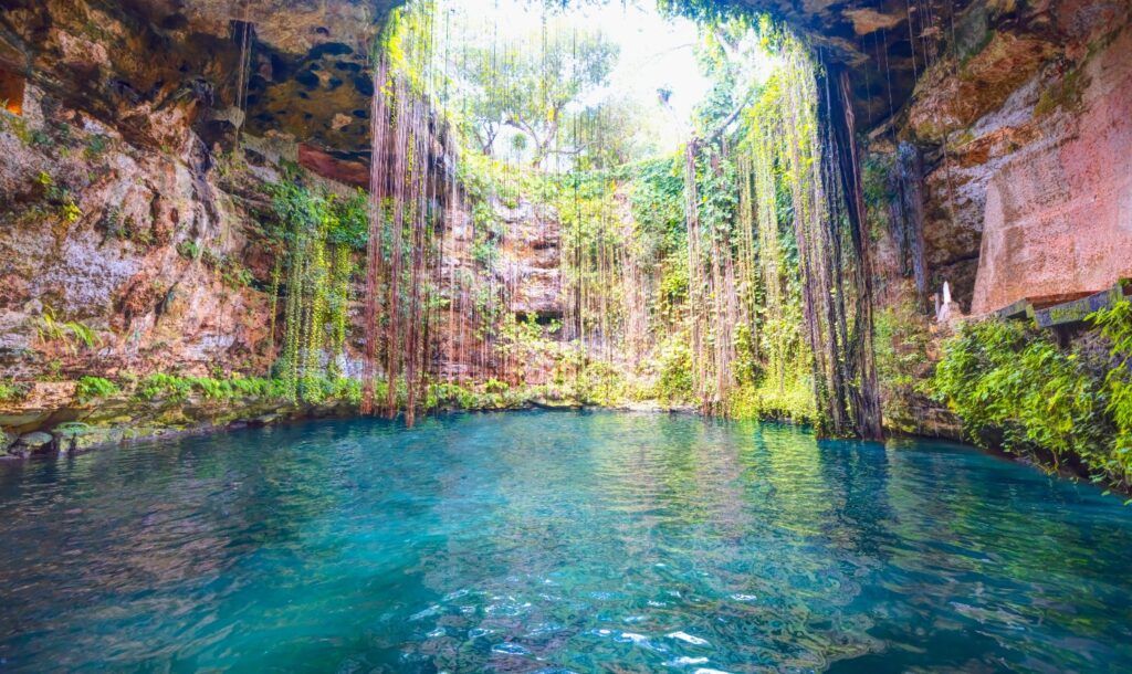 Vue sur un cénote baigné de lumière naturelle, avec des eaux turquoise cristallines entourées de parois rocheuses et de longues lianes vertes qui tombent vers la surface.