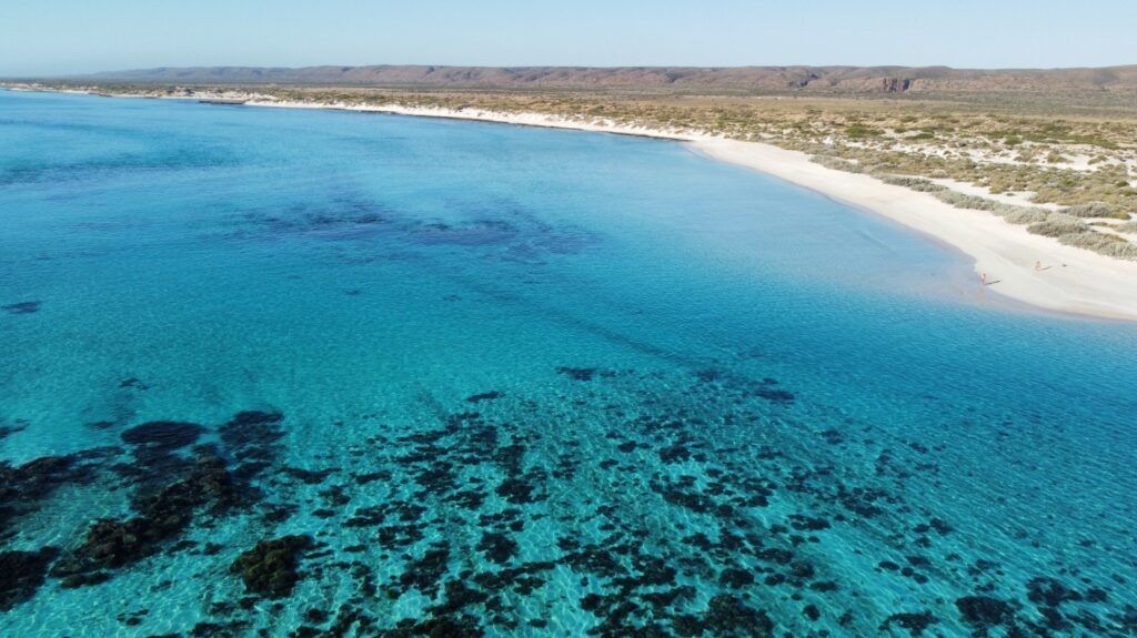 Une vue aérienne des eaux cristallines et turquoises révélant les récifs coralliens de la Grande Barrière de Corail en Australie.