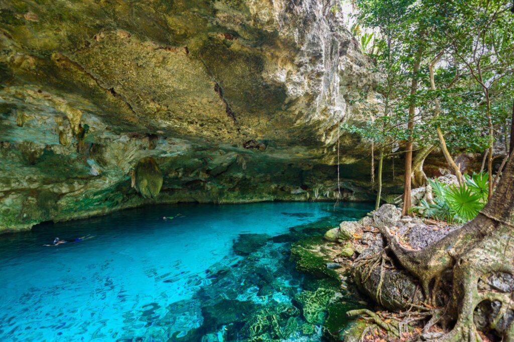 Une vue magnifique de l'intérieur du cénote dos Ojos, avec une eau bleue cristalline protégée par une grotte rocheuse et de grandes racines d'arbres sur le rivage.